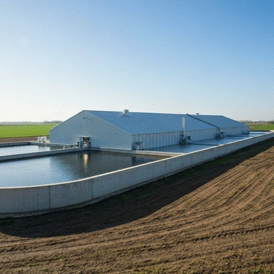 Covered lagoon digester in a farm setting