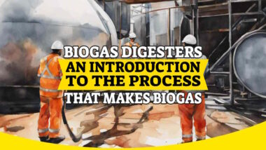 Image has the text: "Biogas Digesters - An Introduction to the Process That Makes Biogas".