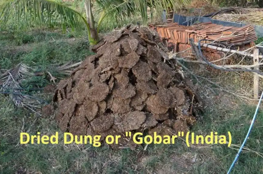 Gobar pile dung india