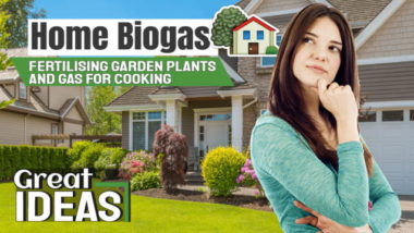 Featured image with the text: "Home Biogas fertilising garden plants and gas for cooking".